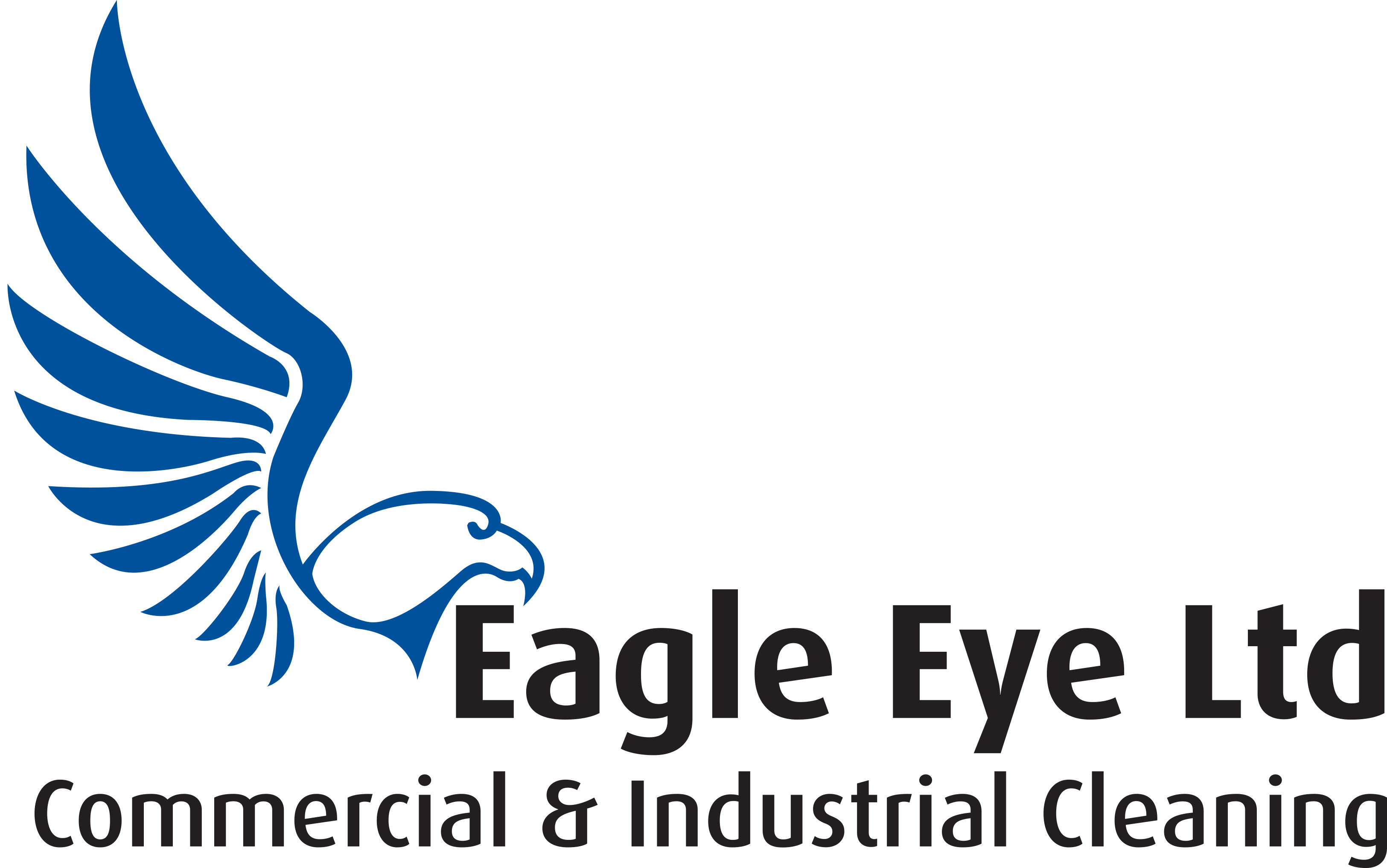 Eagle Eye Ltd.